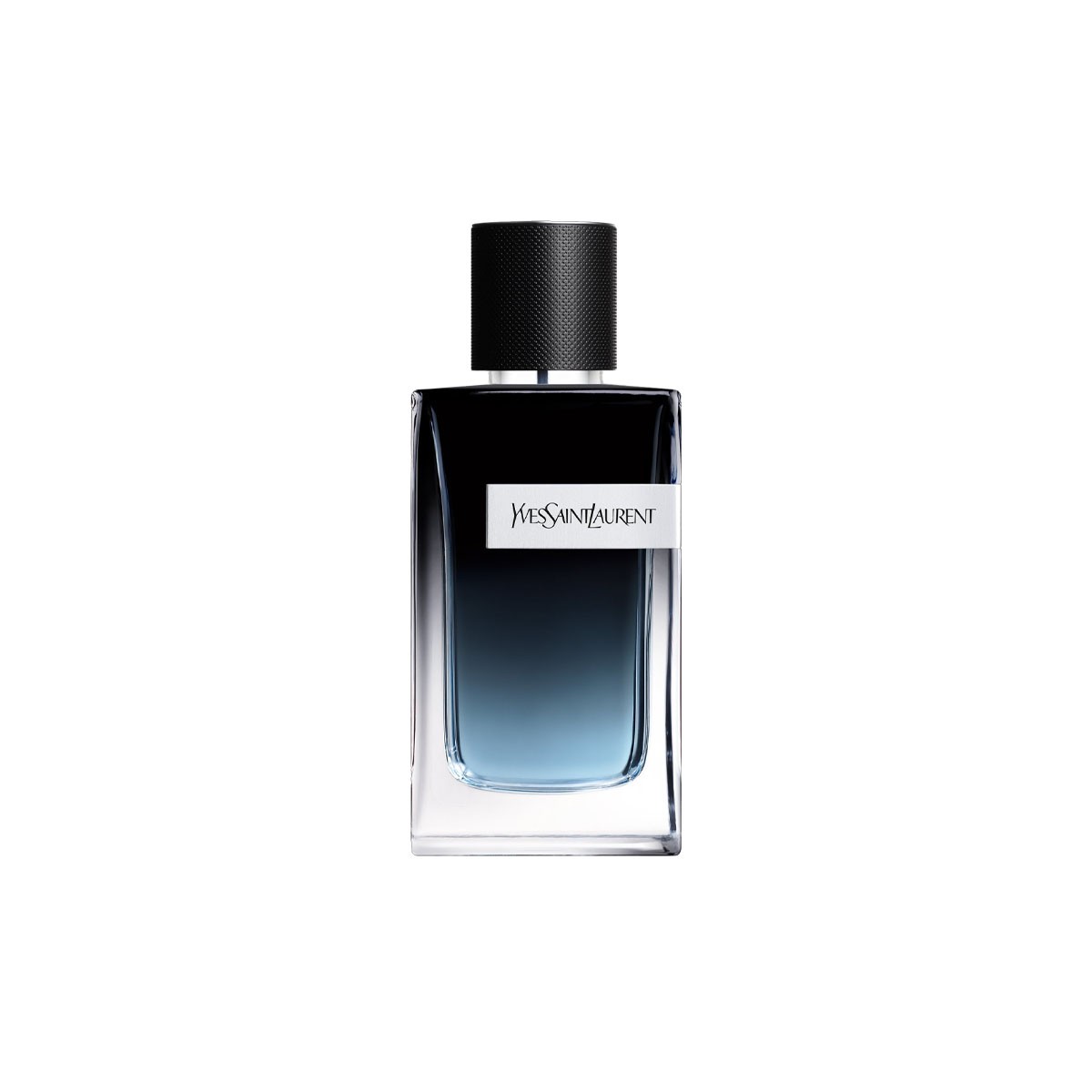 YSL Y